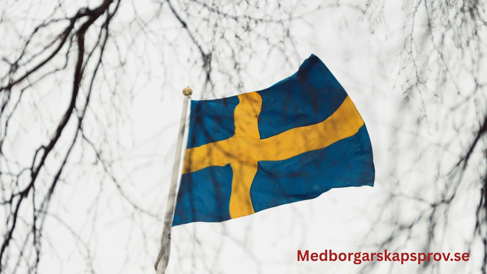 Tips för medborgarskapstestet