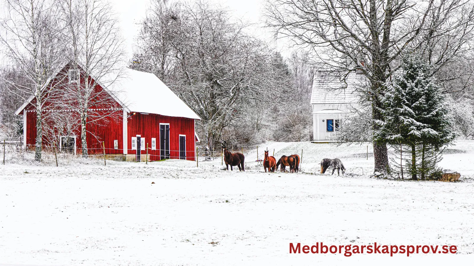 Samhällskunskapstestet för medborgarskap