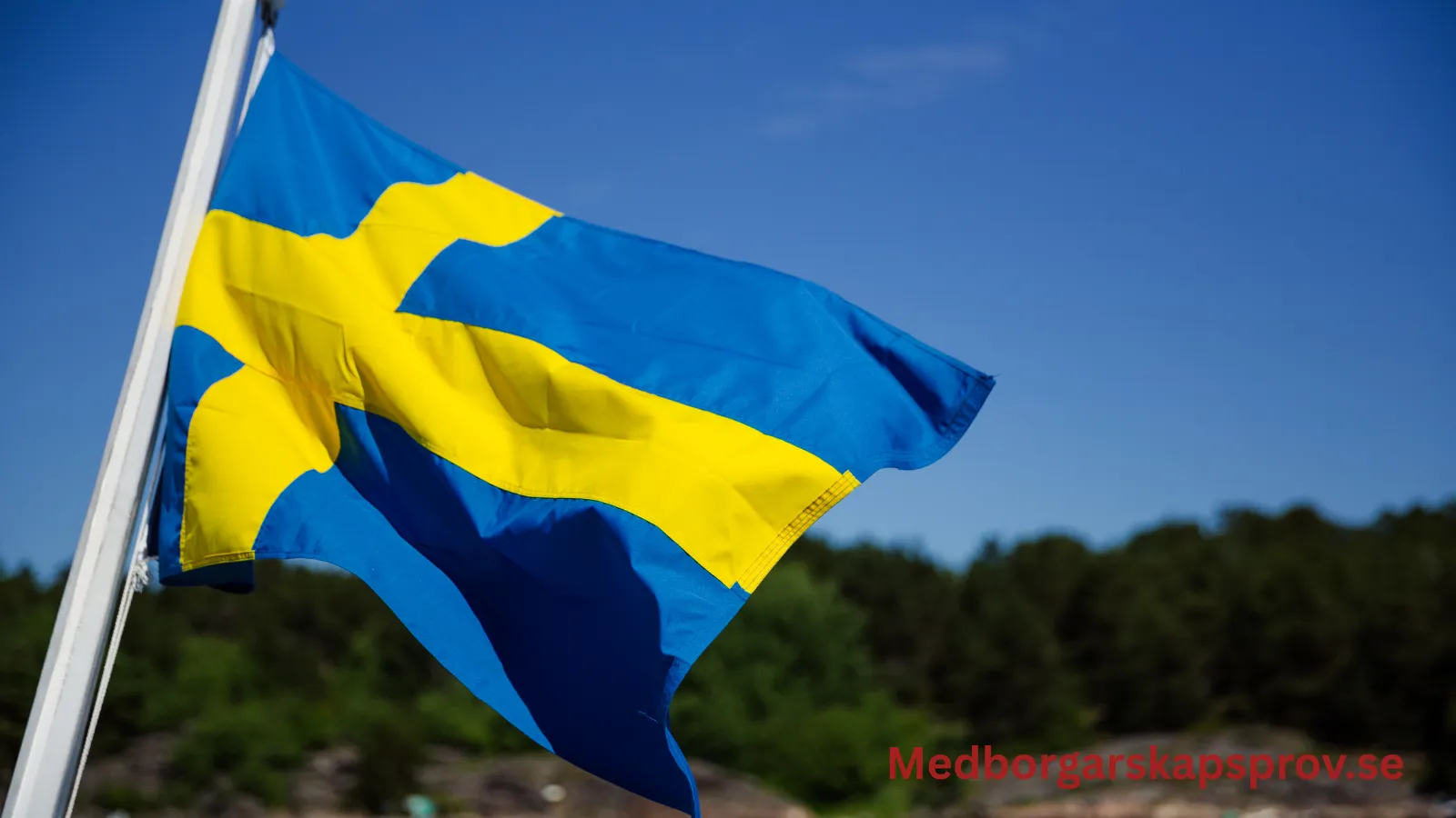 Jämförelse mellan testen